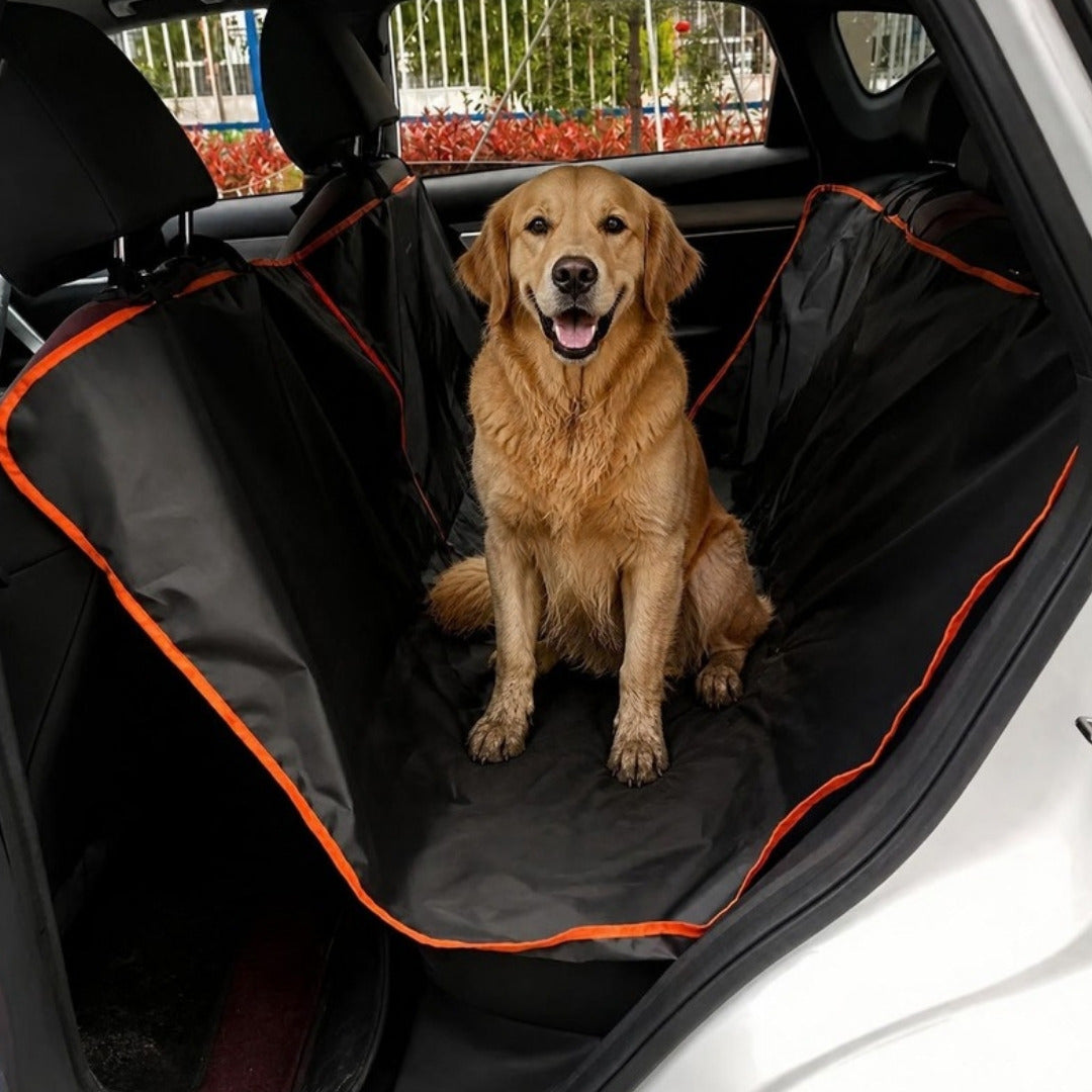 Golden retriever assis sur la housse de banquette imperméable Copilote dans une voiture