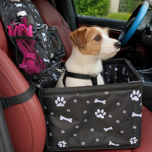 Petit chien installé dans le siège auto rehausseur Copilote, attaché par son harnais