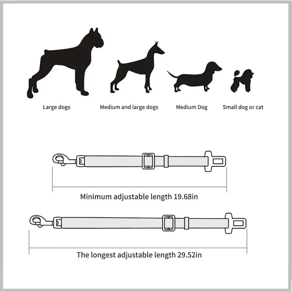 Ceinture de sécurité chien adaptée aux petits, moyens et grands chiens