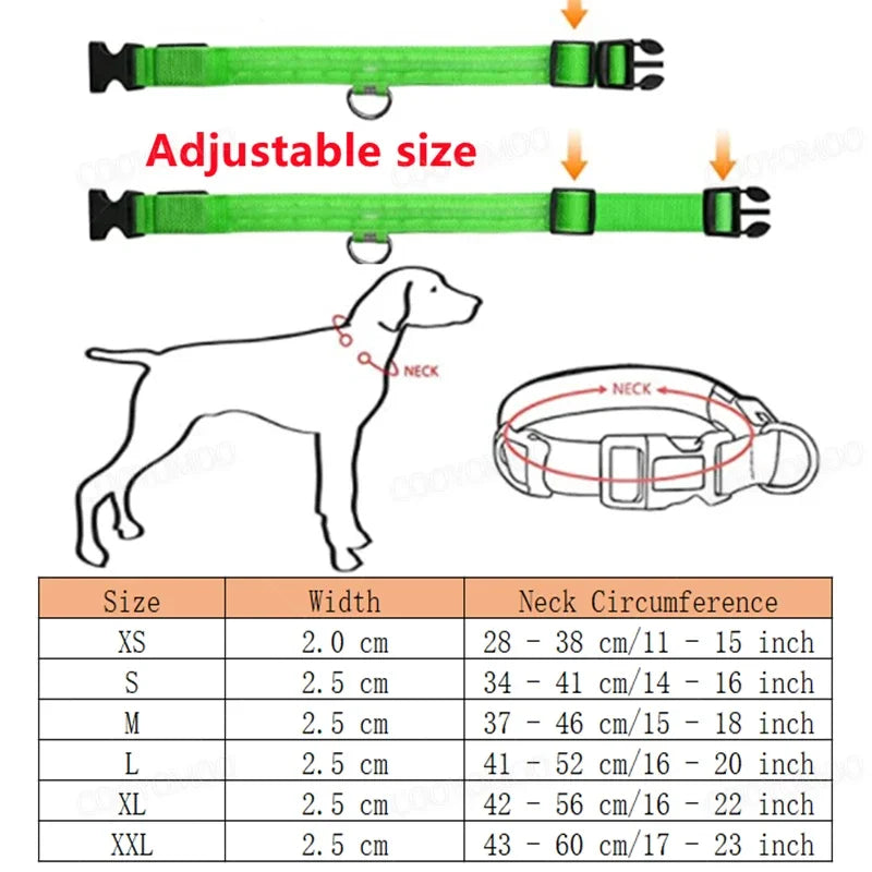 Guide des tailles du collier lumineux LED pour chien