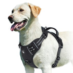 Harnais rembourré pour chien noir avec poignée et bandes réfléchissantes
