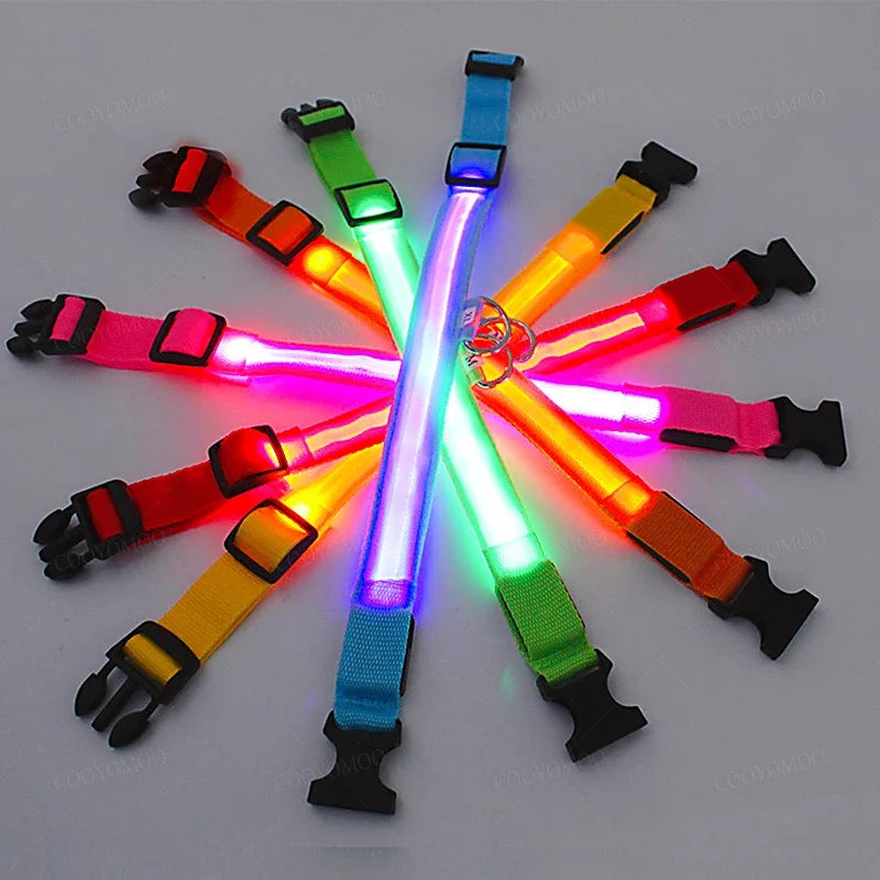Coloris du collier lumineux LED pour chien