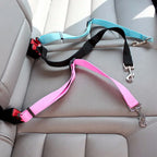 Ceinture de sécurité pour chien clipsée sur la boucle de ceinture de la voiture