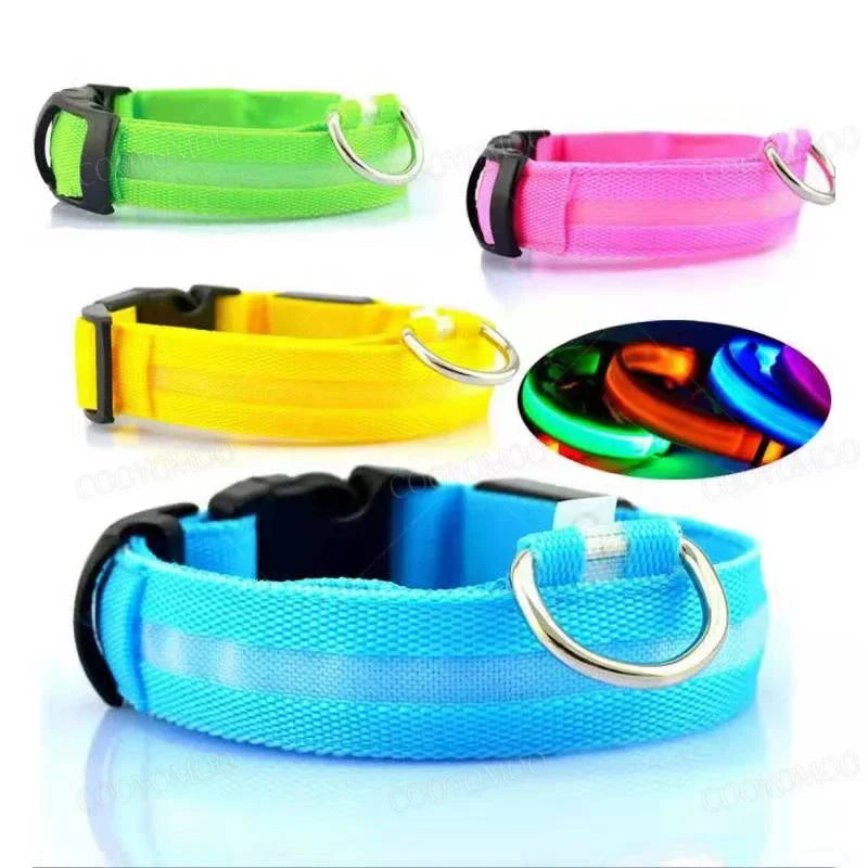 Collier lumineux LED rechargeable pour chien, vue du produit