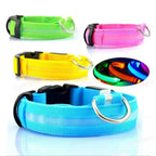 Collier lumineux LED rechargeable pour chien, vue du produit